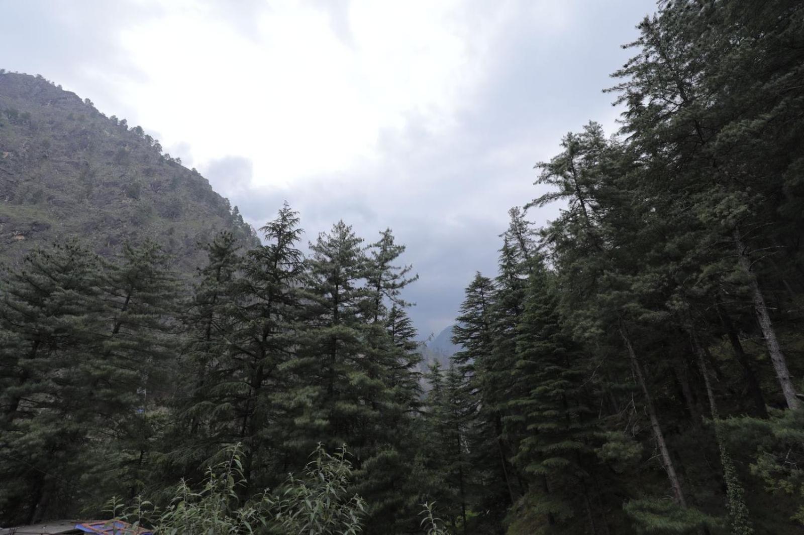 Shangri-La Rooms & Restaurant Kasol Luaran gambar